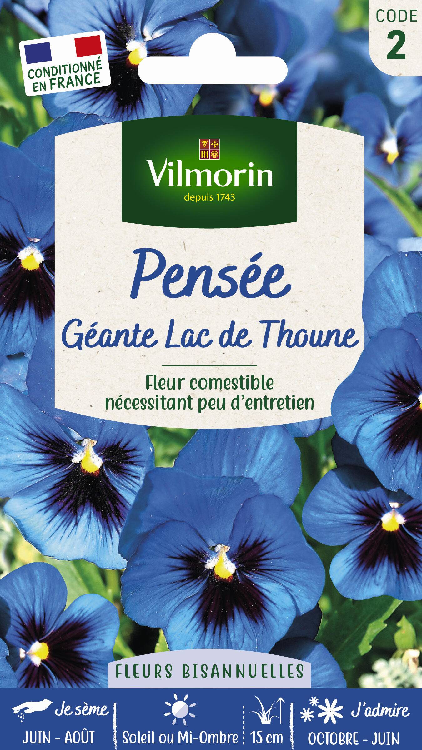 Vilmorin - Pensée géante lac de Thoune bleu série 2 sachet graines 0,4 g - Vilmorin - Image 4