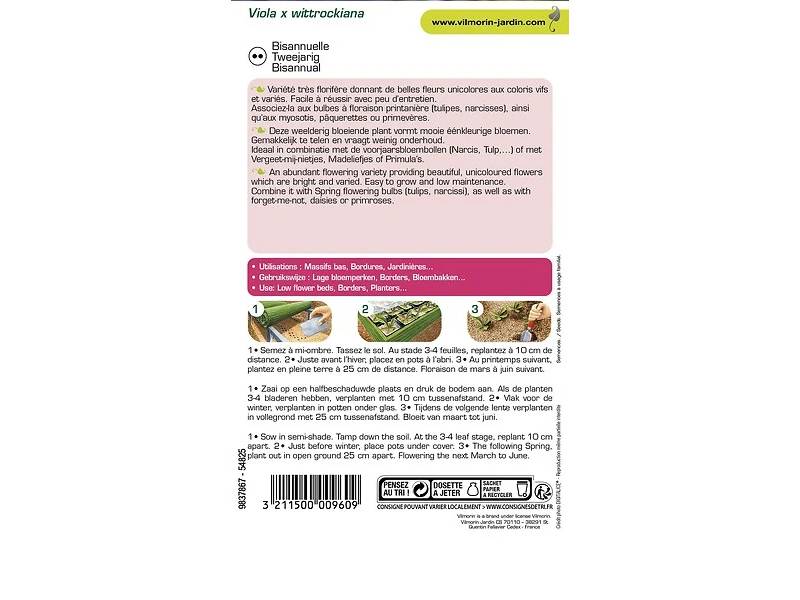 Vilmorin - Pensée printania variée série 2 sachet graines 0,4 g - Vilmorin - Image 2