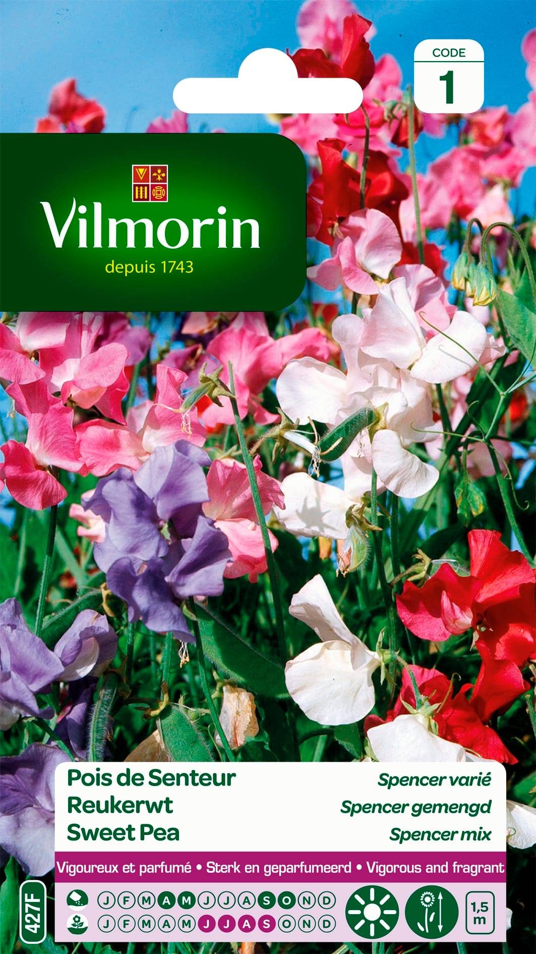 Vilmorin - Graines de Pois de Senteur Spencer varié – VILMORIN