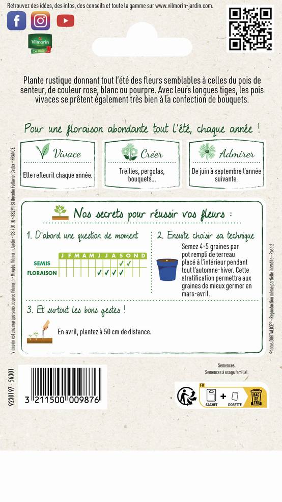 Vilmorin - Pois vivace varie série 2 sachet graines 2 g - Vilmorin - Image 3