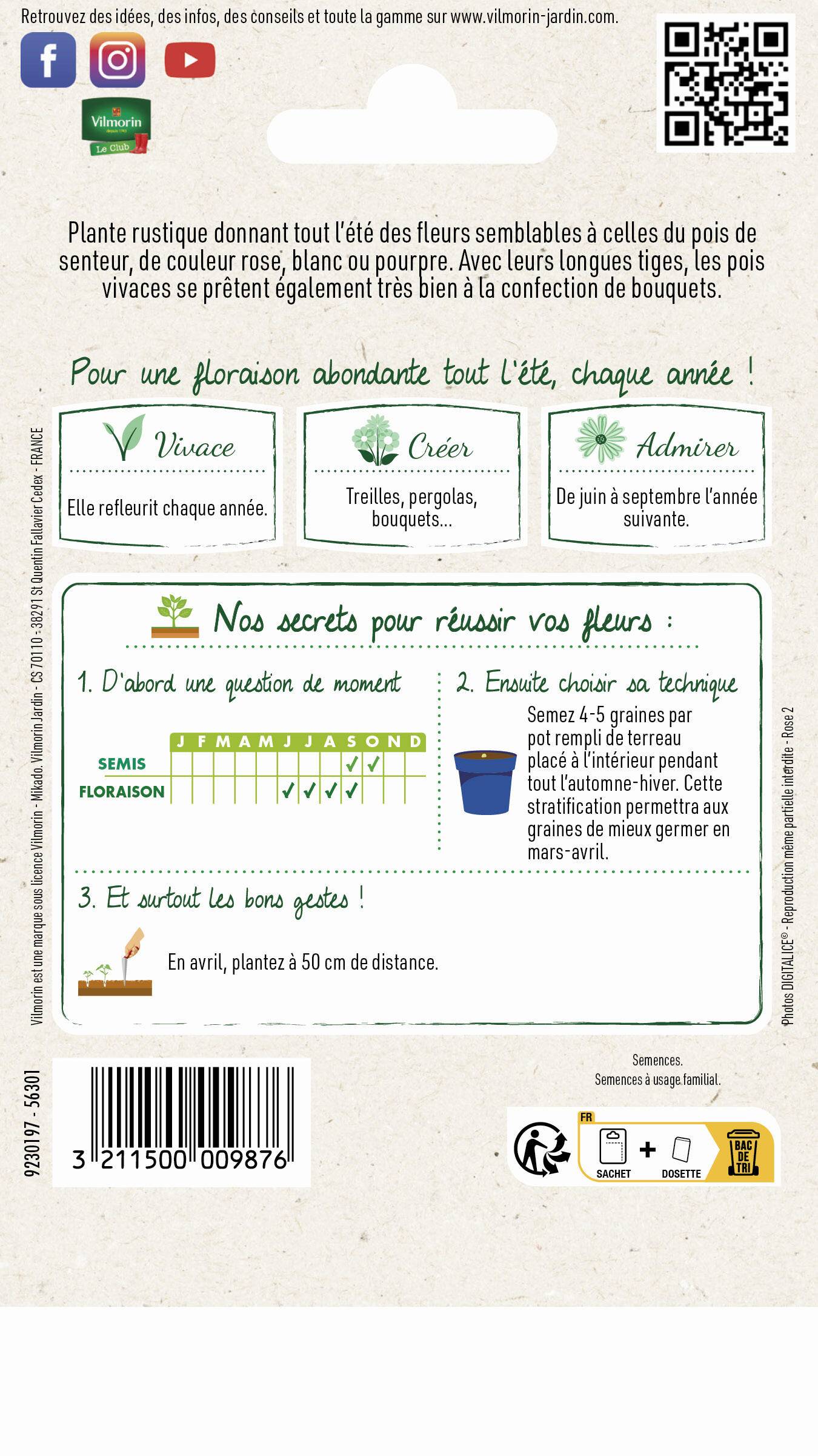 Vilmorin - Pois vivace varie série 2 sachet graines 2 g - Vilmorin - Image 3