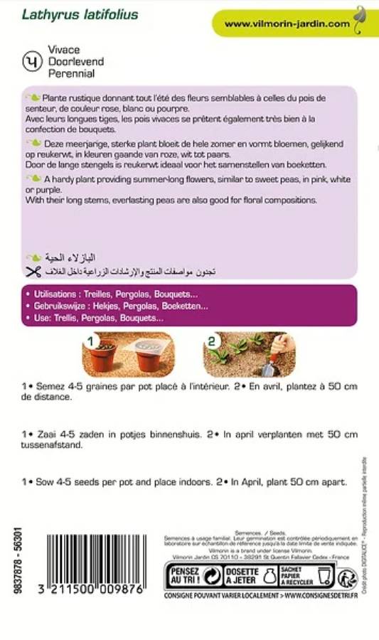 Vilmorin - Pois vivace varie série 2 sachet graines 2 g - Vilmorin - Image 2
