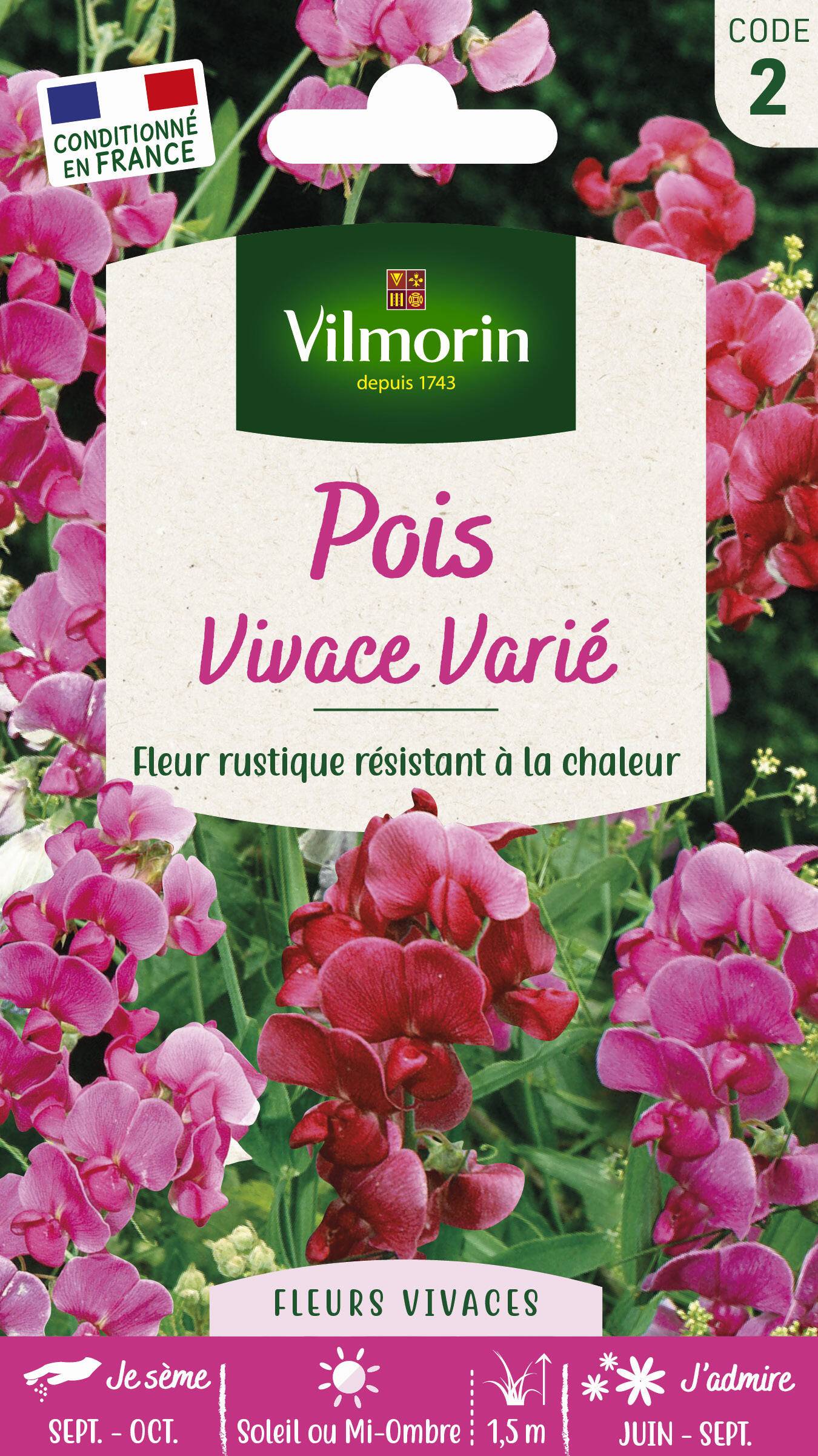 Vilmorin - Pois vivace varie série 2 sachet graines 2 g - Vilmorin - Image 1
