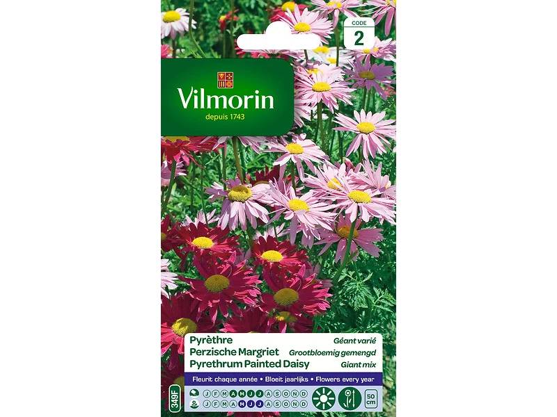 Vilmorin - Pyrèthre géant varie série 2 sachet graines 0,8 g - Vilmorin - Image 10