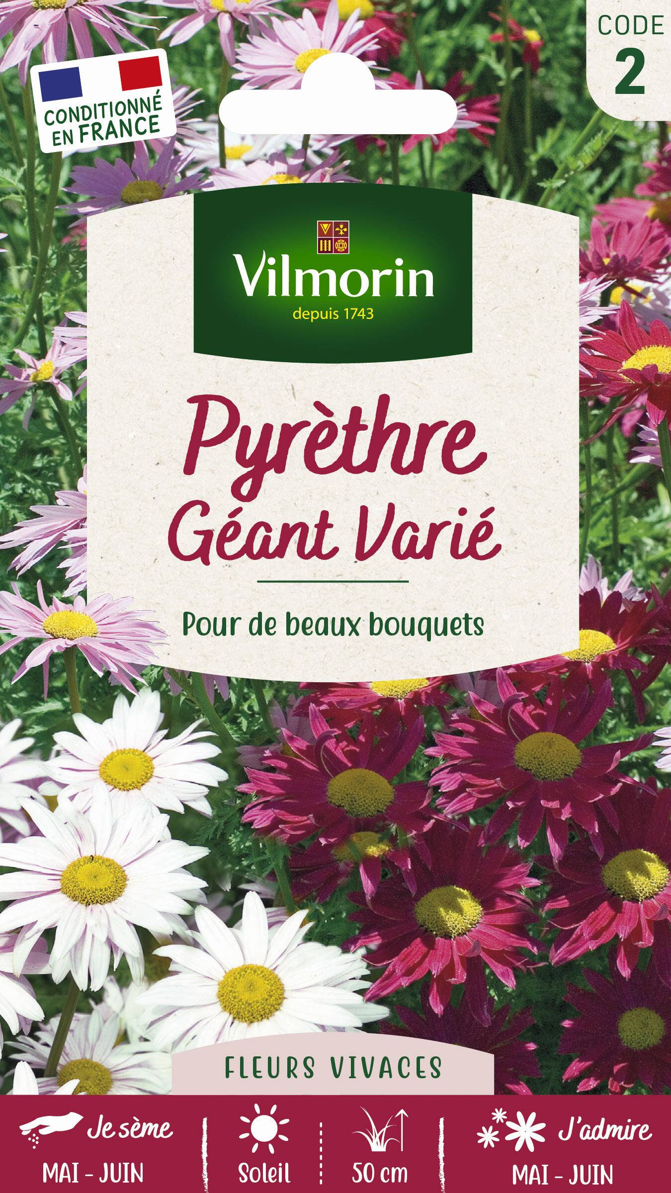 Vilmorin - Pyrèthre géant varie série 2 sachet graines 0,8 g - Vilmorin - Image 11