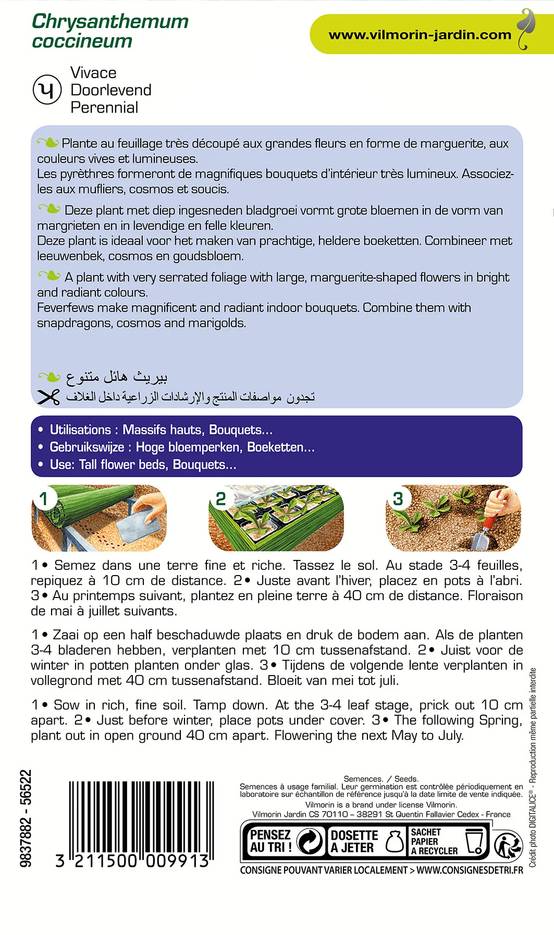 Vilmorin - Pyrèthre géant varie série 2 sachet graines 0,8 g - Vilmorin - Image 3