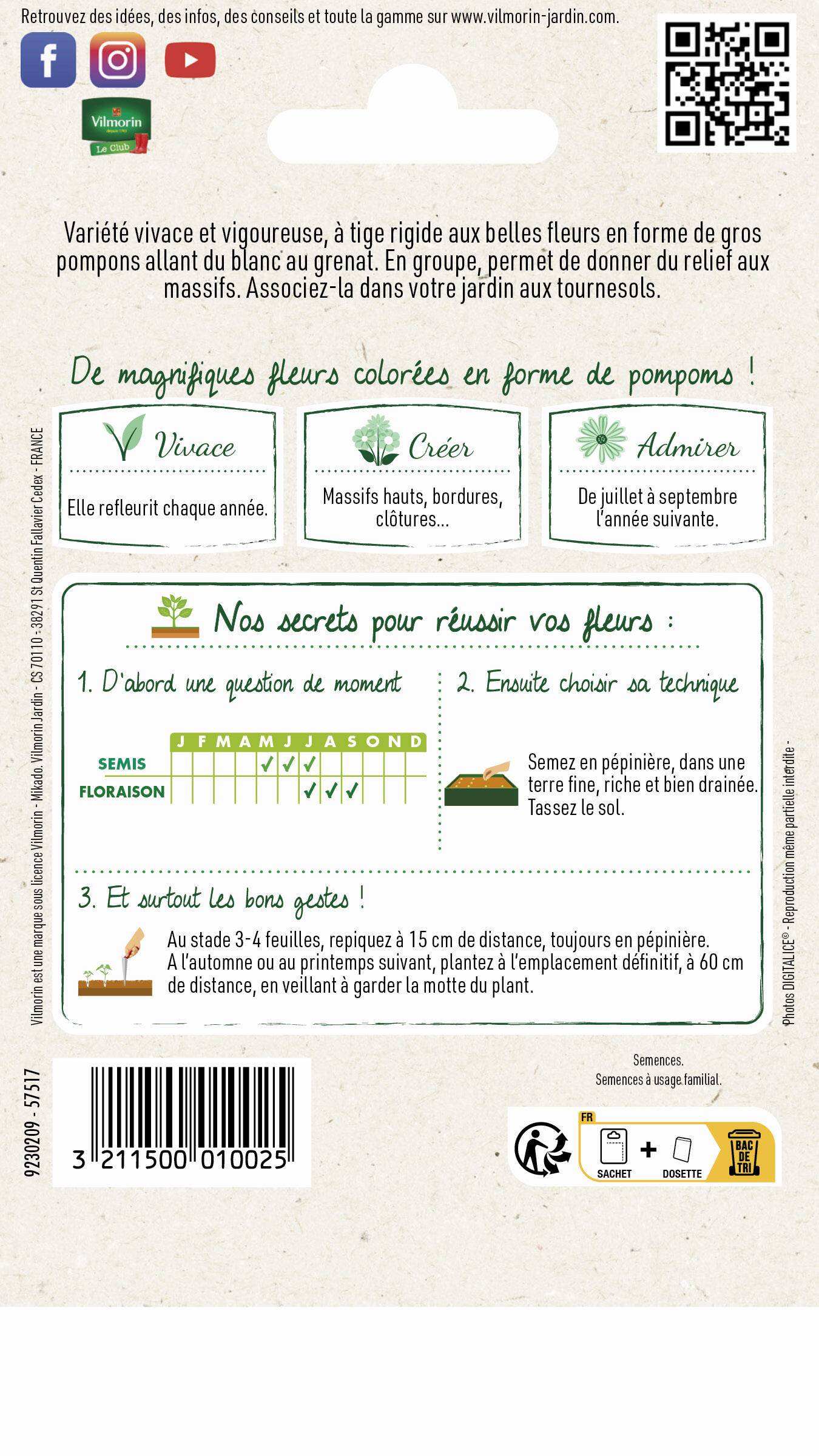 Vilmorin - Rose Trémière Double Grande Variée serie 2 sachet graines 1,5 g - Vilmorin - Image 7