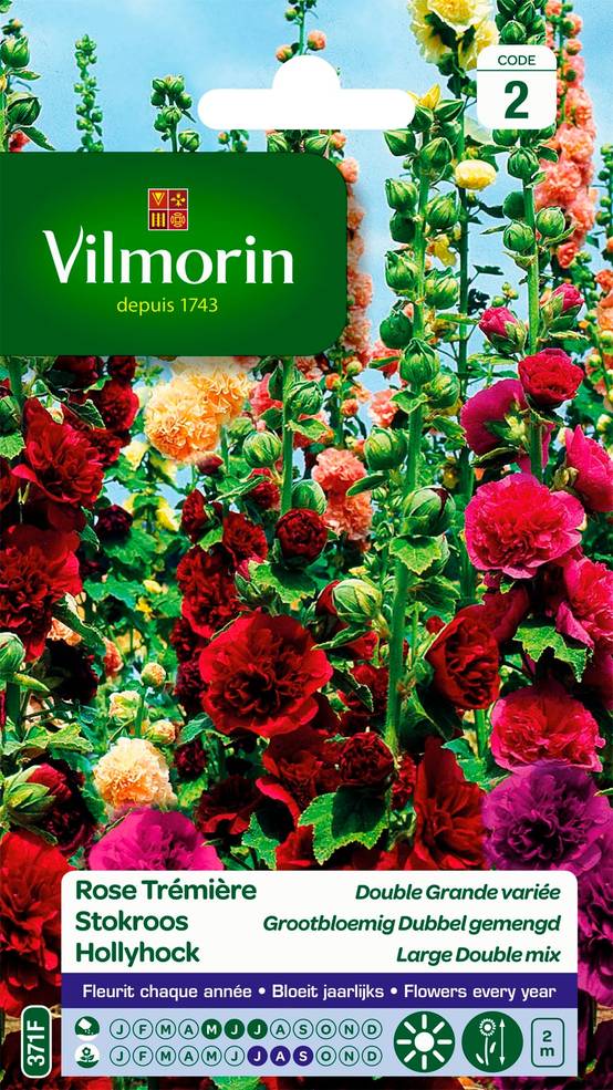 Vilmorin - Rose Trémière Double Grande Variée serie 2 sachet graines 1,5 g - Vilmorin - Image 2