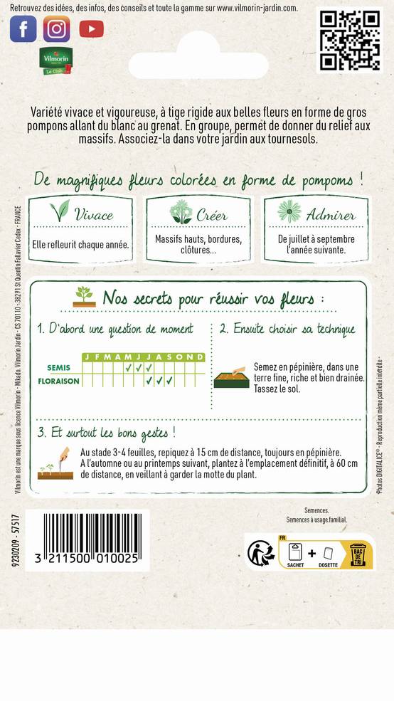 Vilmorin - Rose Trémière Double Grande Variée serie 2 sachet graines 1,5 g - Vilmorin - Image 3