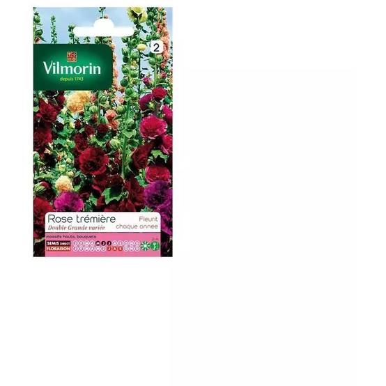 Vilmorin - Rose Trémière Double Grande Variée serie 2 sachet graines 1,5 g - Vilmorin - Image 4