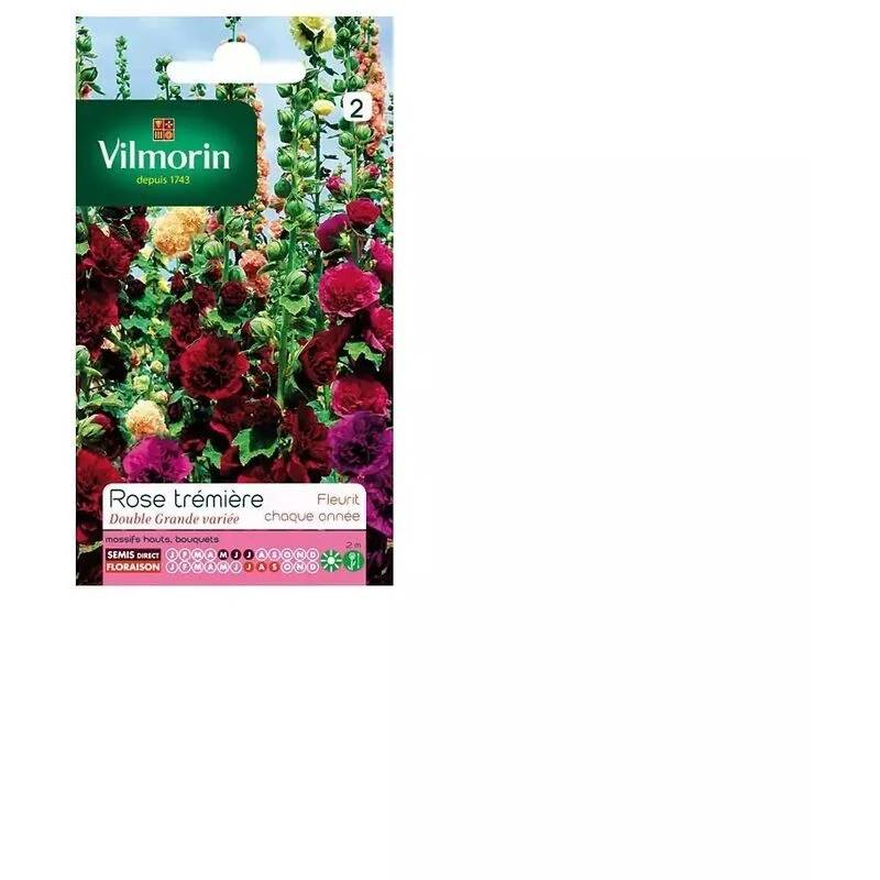 Vilmorin - Rose Trémière Double Grande Variée serie 2 sachet graines 1,5 g - Vilmorin - Image 4