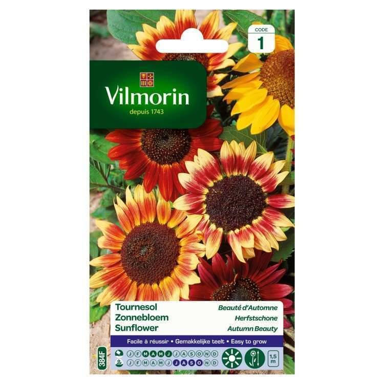 Vilmorin - Graines Tournesol Beauté d'Automne Jaune Rouge 3 g - VILMORIN - Image 4