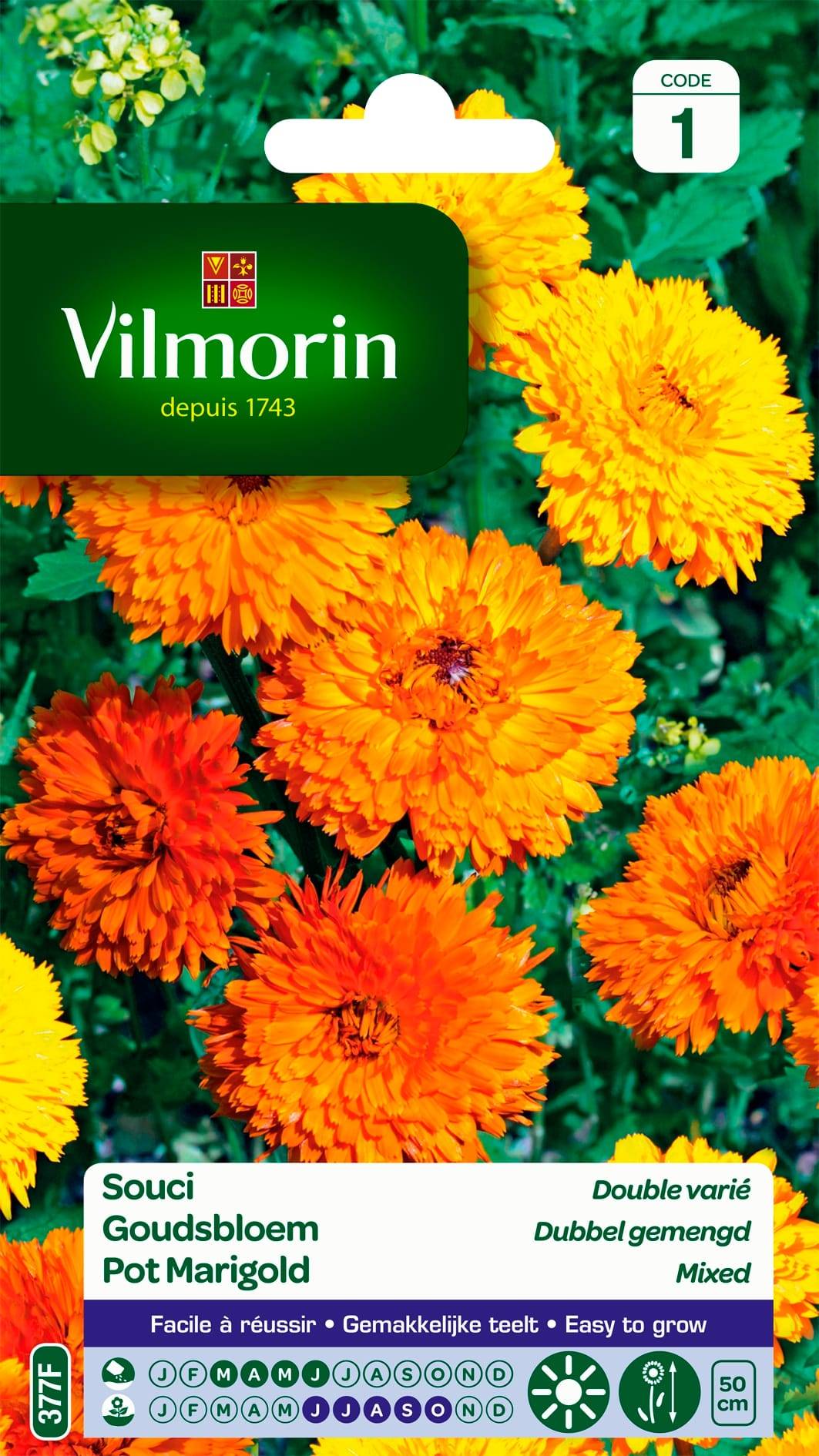 Vilmorin - Souci double varie série 1 sachet graines 3 g - Vilmorin - Image 2