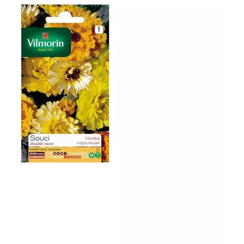 Vilmorin - Souci double varie série 1 sachet graines 3 g - Vilmorin - Image 4