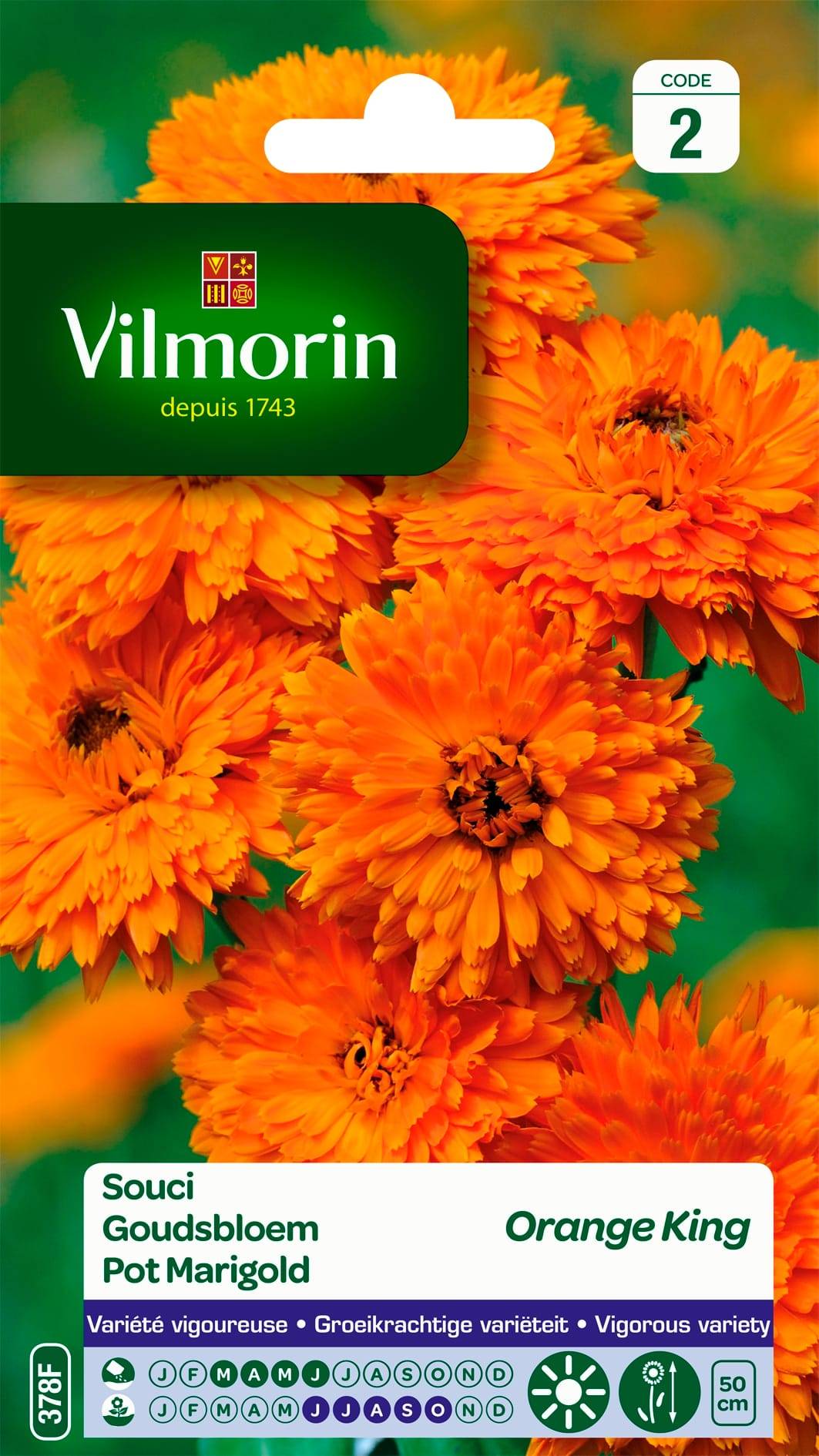 Vilmorin - Souci orange King orange série 2 sachet graines 3 g - Vilmorin - Image 2