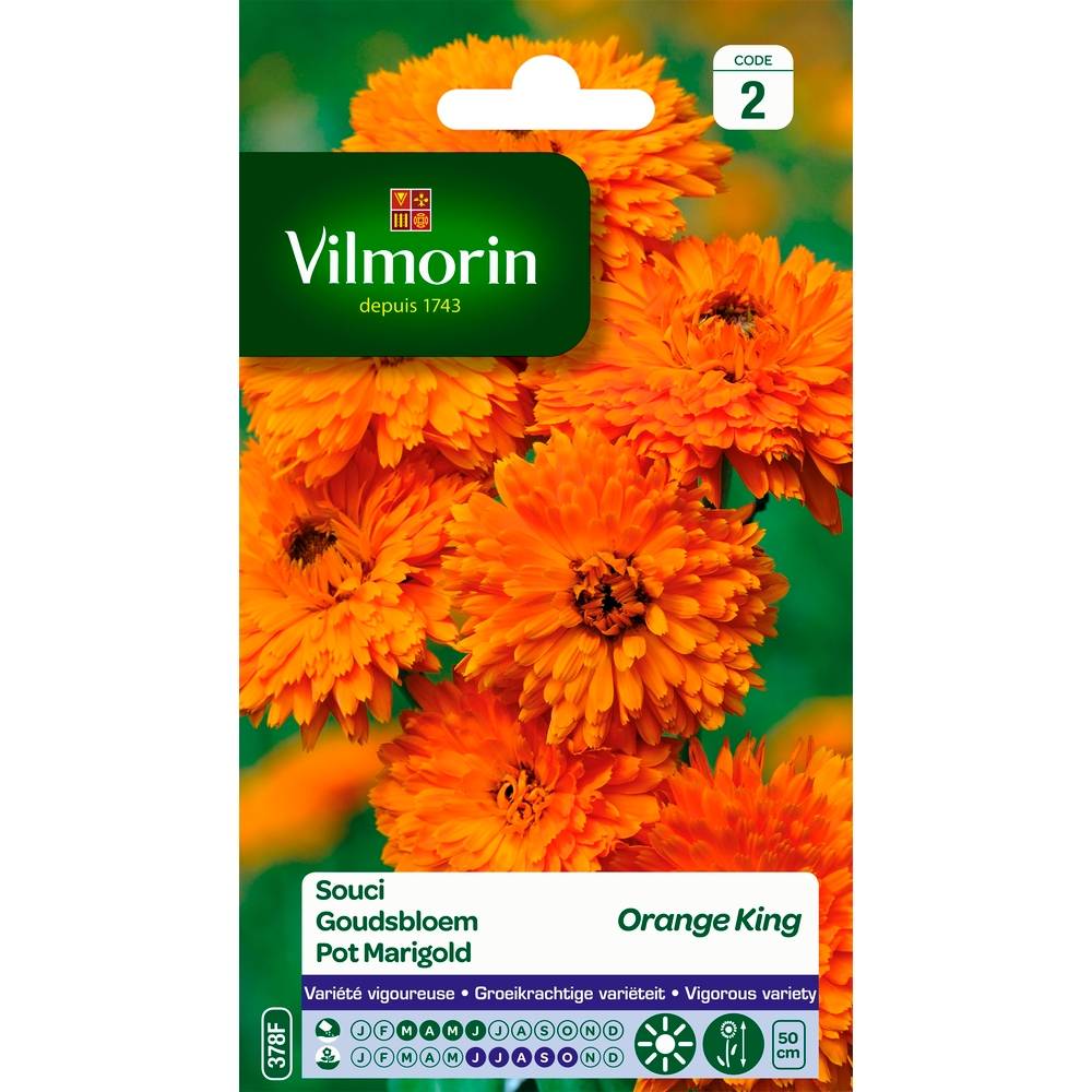 Vilmorin - Souci orange King orange série 2 sachet graines 3 g - Vilmorin - Image 5