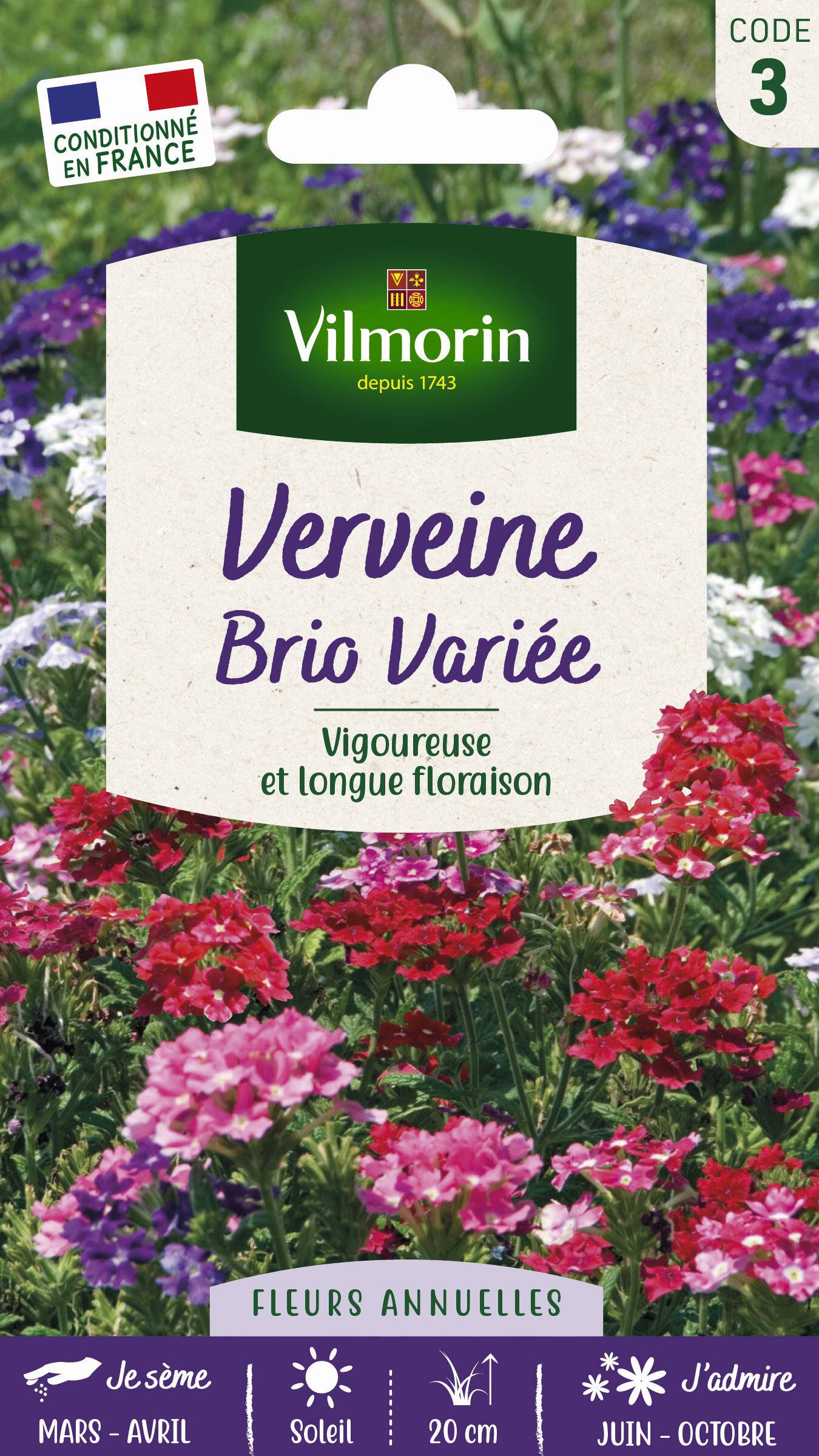 Vilmorin - Verveine Brio variée série 3 sachet graines 0,5 g - Vilmorin