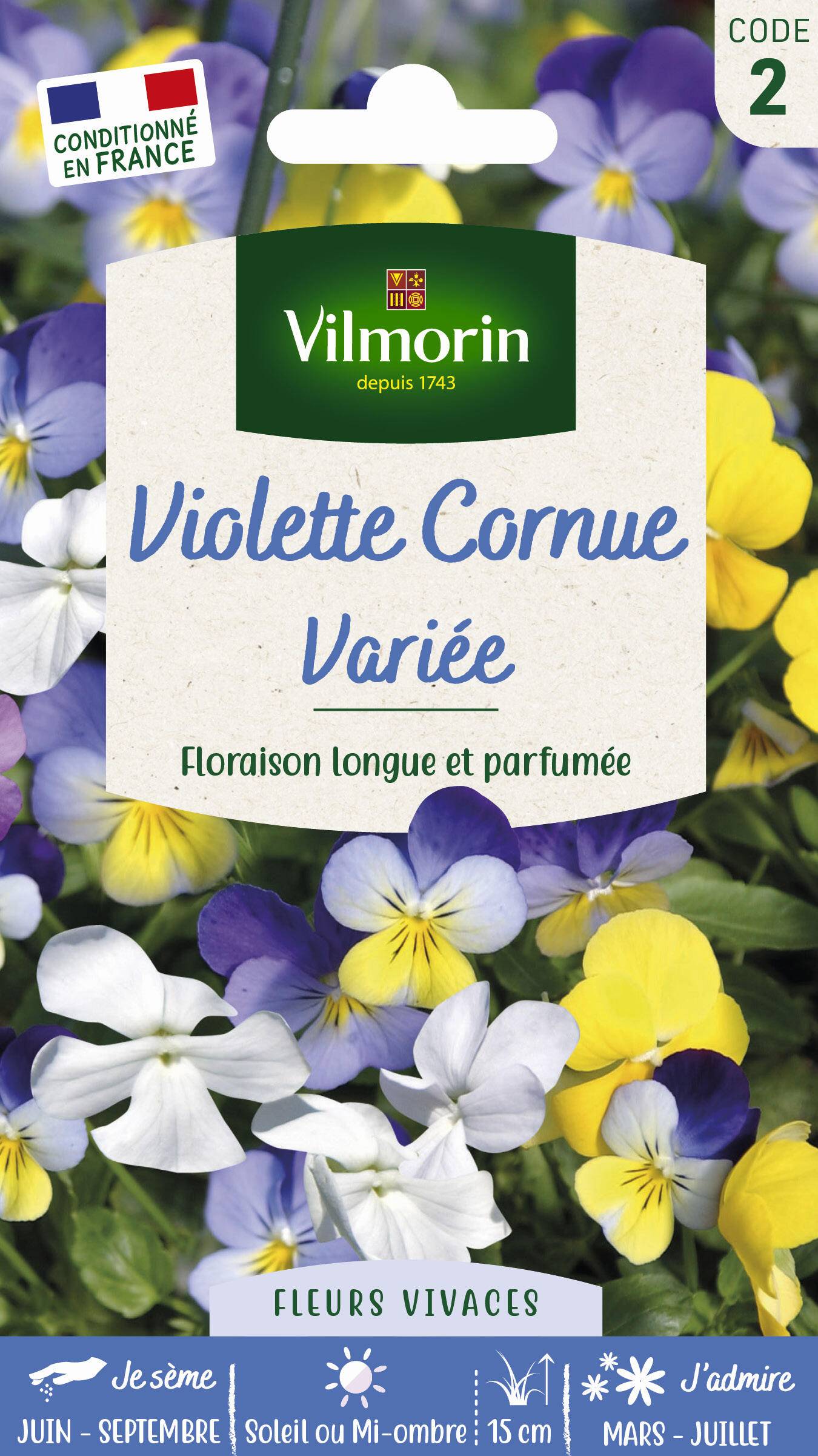 Vilmorin - Viola Cornuta variée série 2 sachet graines 0,7 g - Vilmorin - Image 3