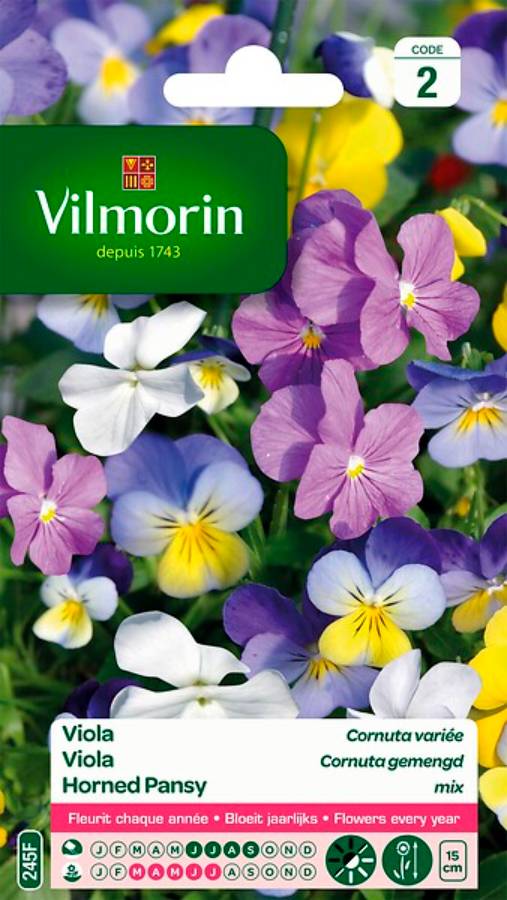 Vilmorin - Viola Cornuta variée série 2 sachet graines 0,7 g - Vilmorin - Image 4