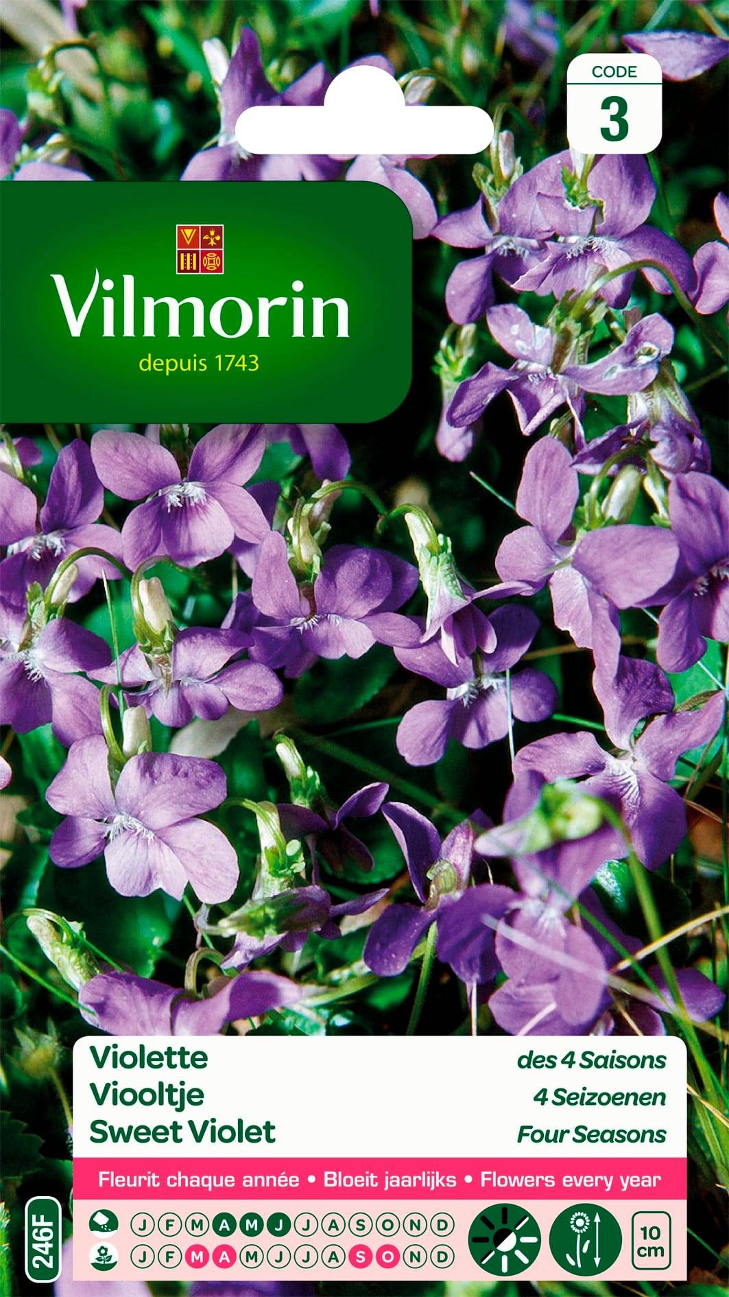 Vilmorin - Violette des 4 saisons odorante série 3 sachet graines 1 g - Vilmorin - Image 2