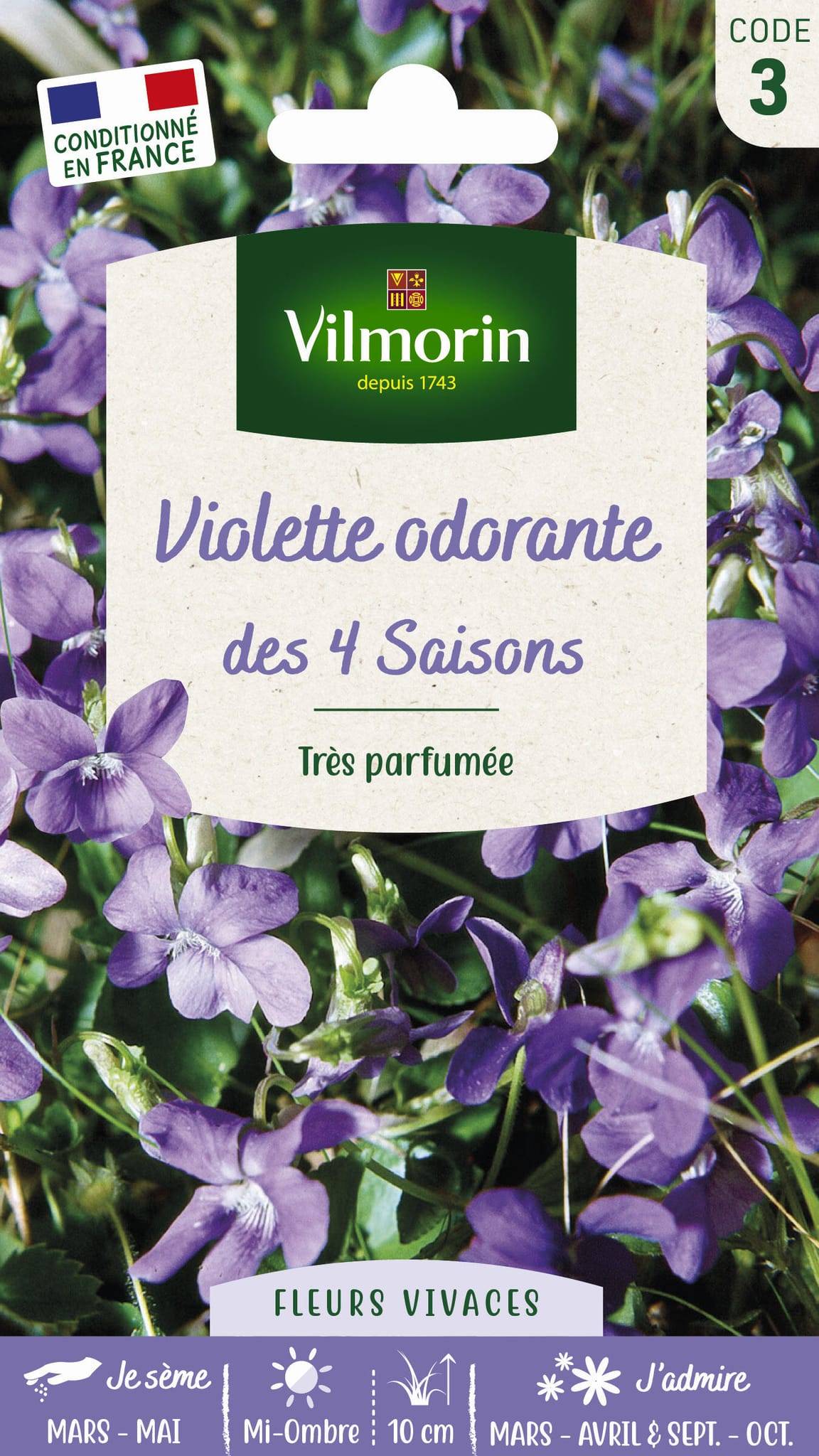 Vilmorin - Violette des 4 saisons odorante série 3 sachet graines 1 g - Vilmorin - Image 1