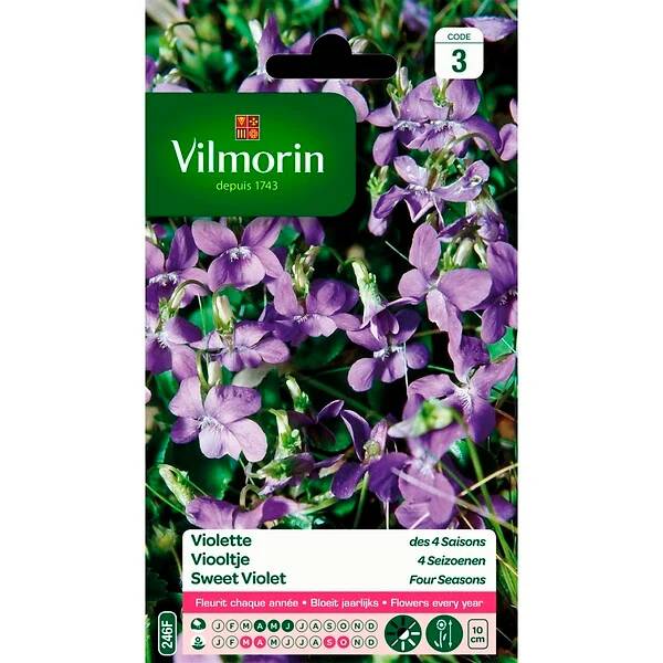 Vilmorin - Violette des 4 saisons odorante série 3 sachet graines 1 g - Vilmorin - Image 4