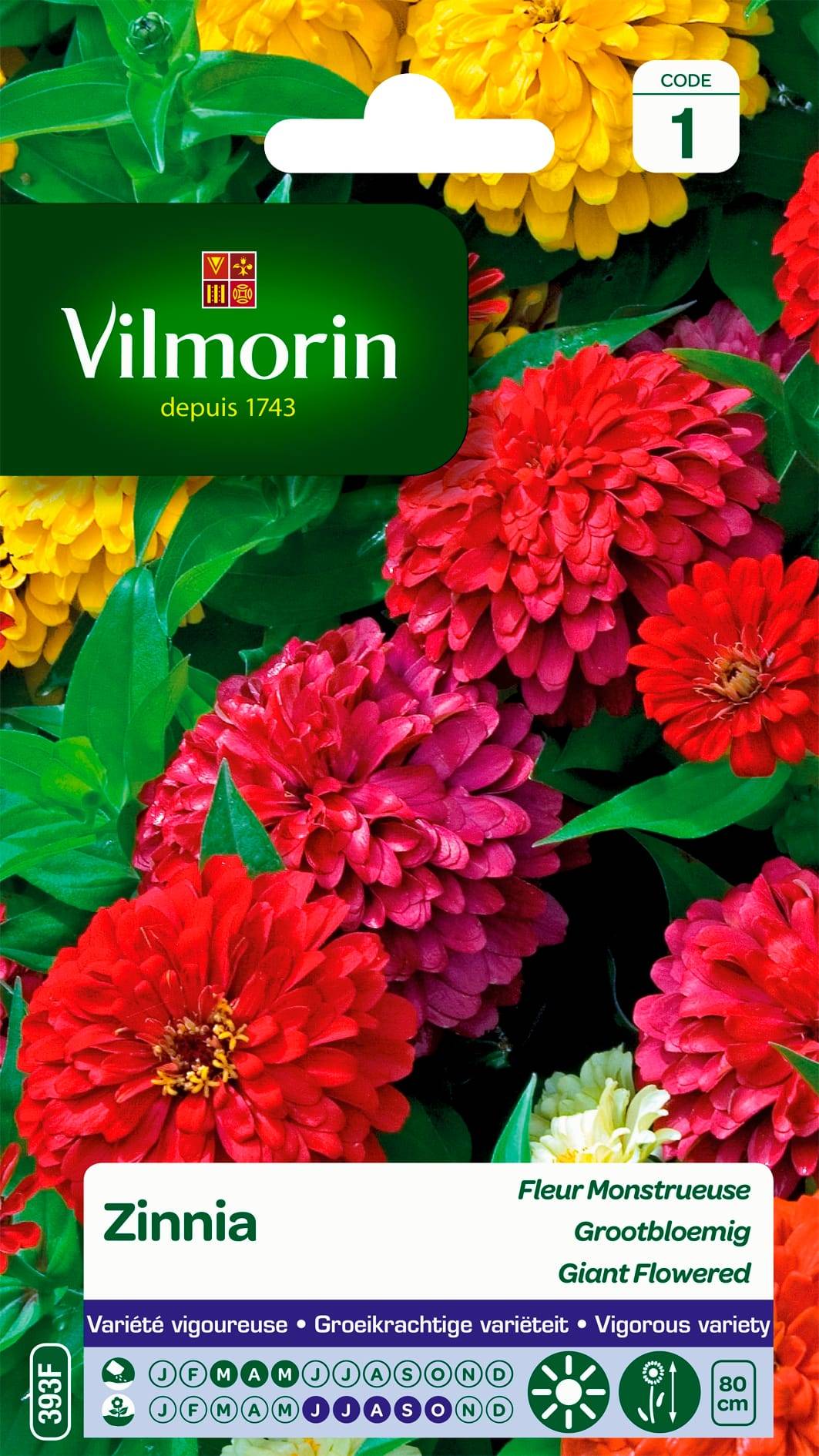 Vilmorin - Zinnia à fleur monstrueuse varie série 1 sachet graines 2 g - Vilmorin - Imagen 2