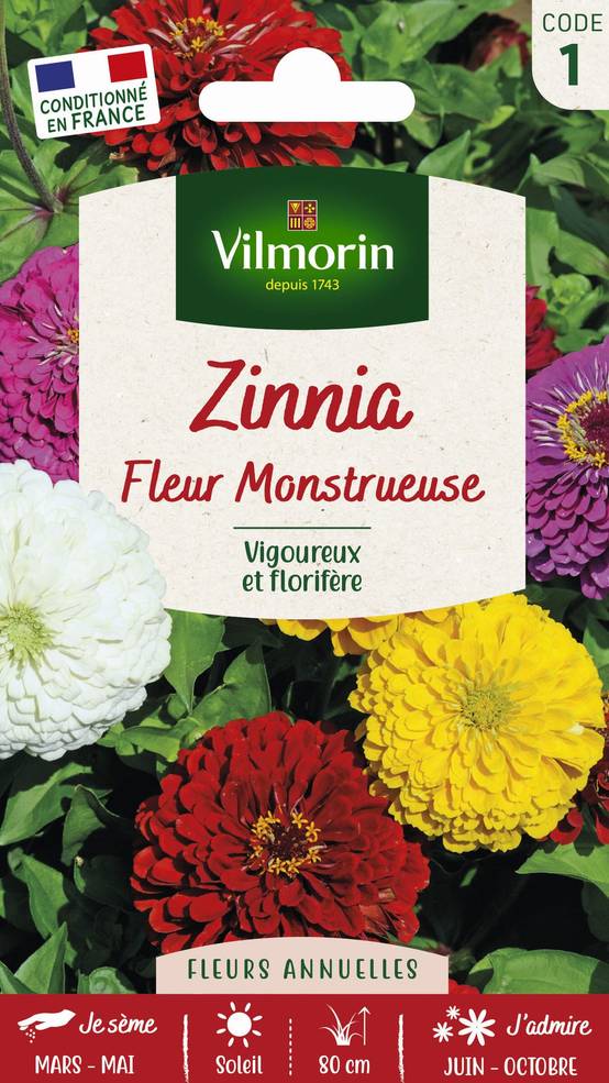 Vilmorin - Zinnia à fleur monstrueuse varie série 1 sachet graines 2 g - Vilmorin - Image 1