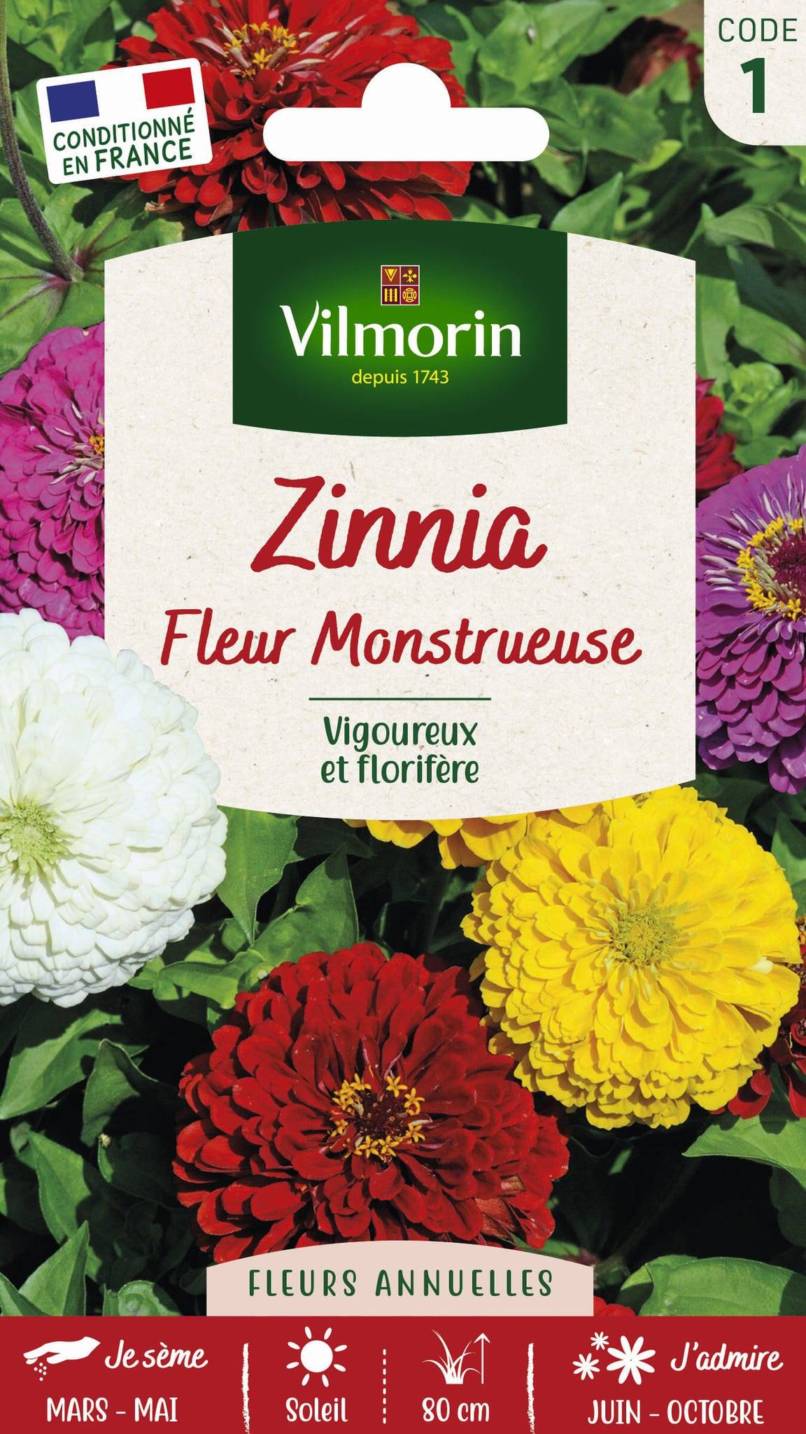 Vilmorin - Zinnia à fleur monstrueuse varie série 1 sachet graines 2 g - Vilmorin - Imagen 1