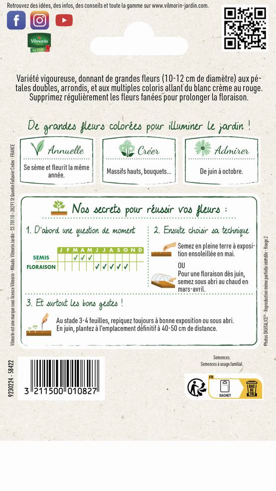 Vilmorin - Zinnia à fleur monstrueuse varie série 1 sachet graines 2 g - Vilmorin - Image 3