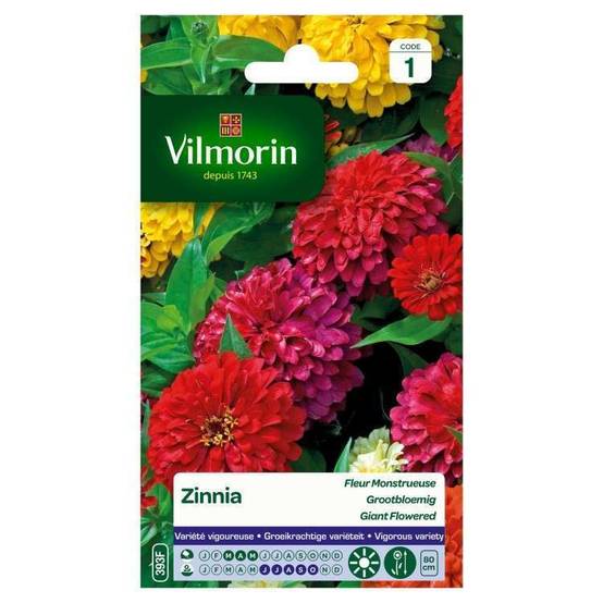 Vilmorin - Zinnia à fleur monstrueuse varie série 1 sachet graines 2 g - Vilmorin - Image 4