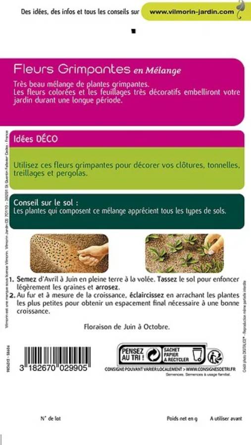 Vilmorin - Graines de Fleurs Grimpantes - VILMORIN - Image 3