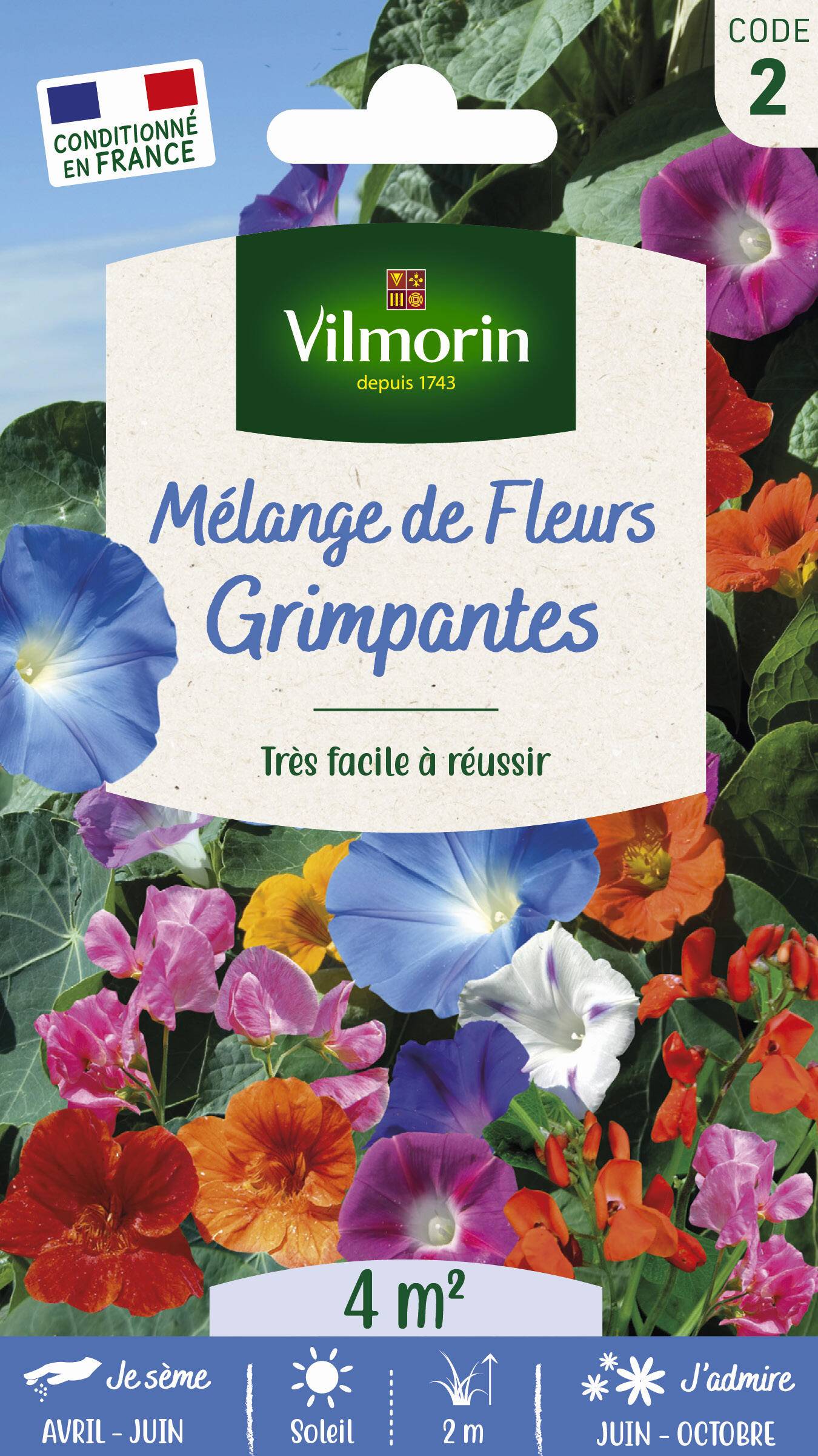 Vilmorin - Graines de Fleurs Grimpantes - VILMORIN - Image 4