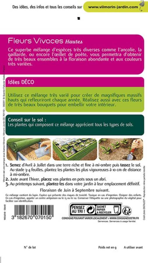 Vilmorin - Fleurs vivaces hautes série 2 sachet graines 4 g - Vilmorin - Image 9