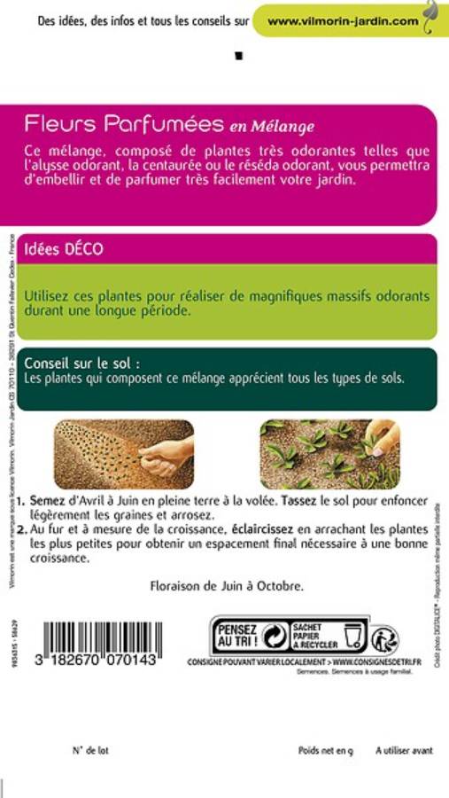 Vilmorin - Fleurs parfumées série 2 sachet graines 3 g - Vilmorin - Image 5