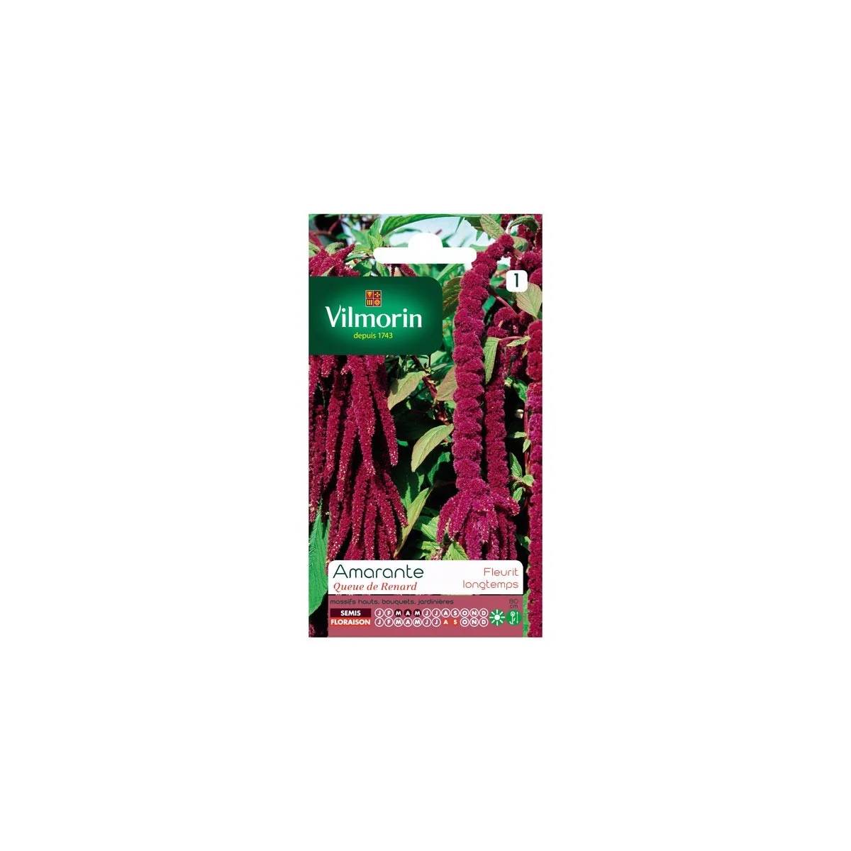 Vilmorin - Amarante queue de renard série 1 sachet graines 2 g - Vilmorin - Image 2
