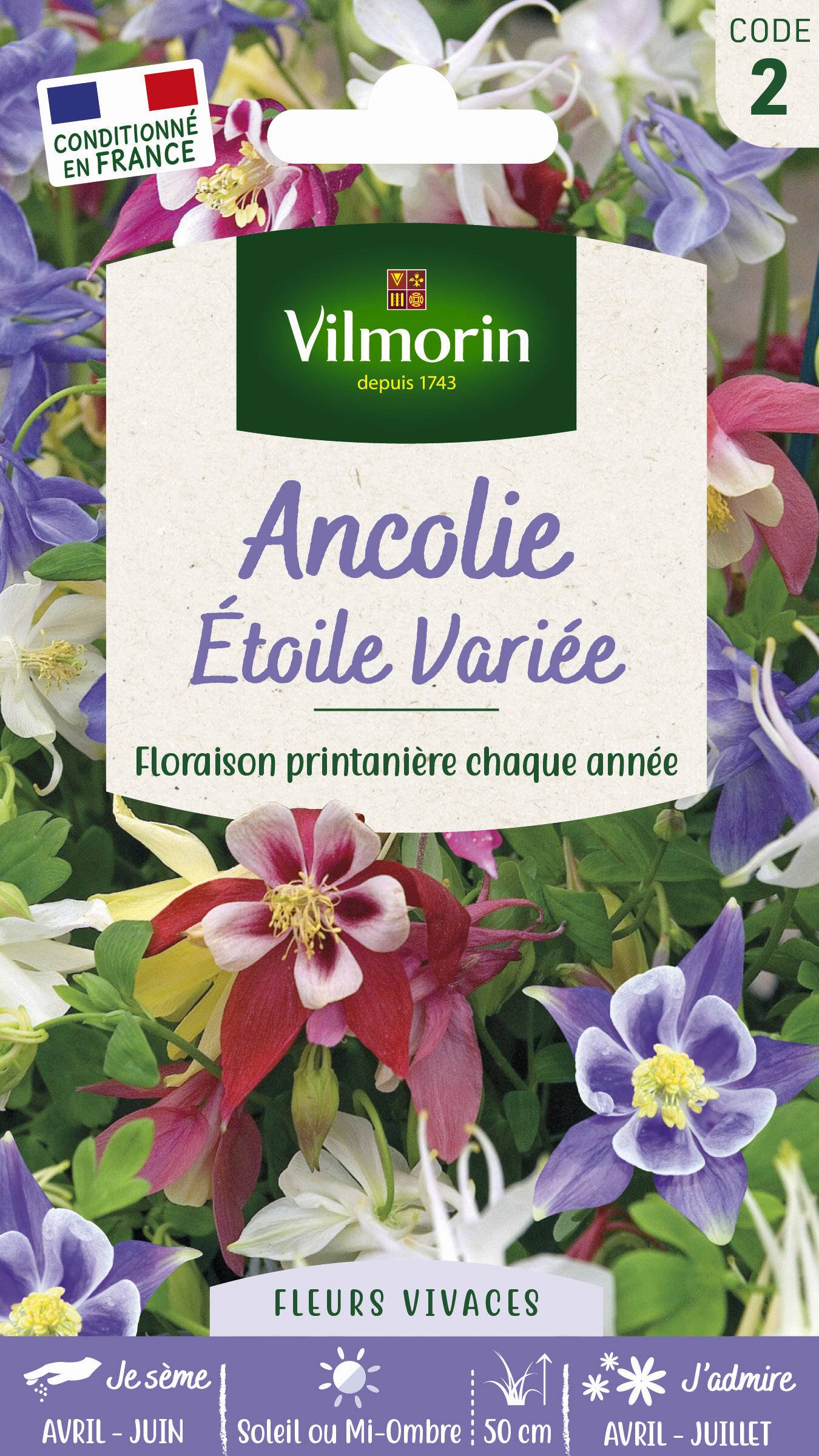 Vilmorin - Ancolie Etoile variée série 2 sachet graines 0,5 g - Vilmorin - Image 3