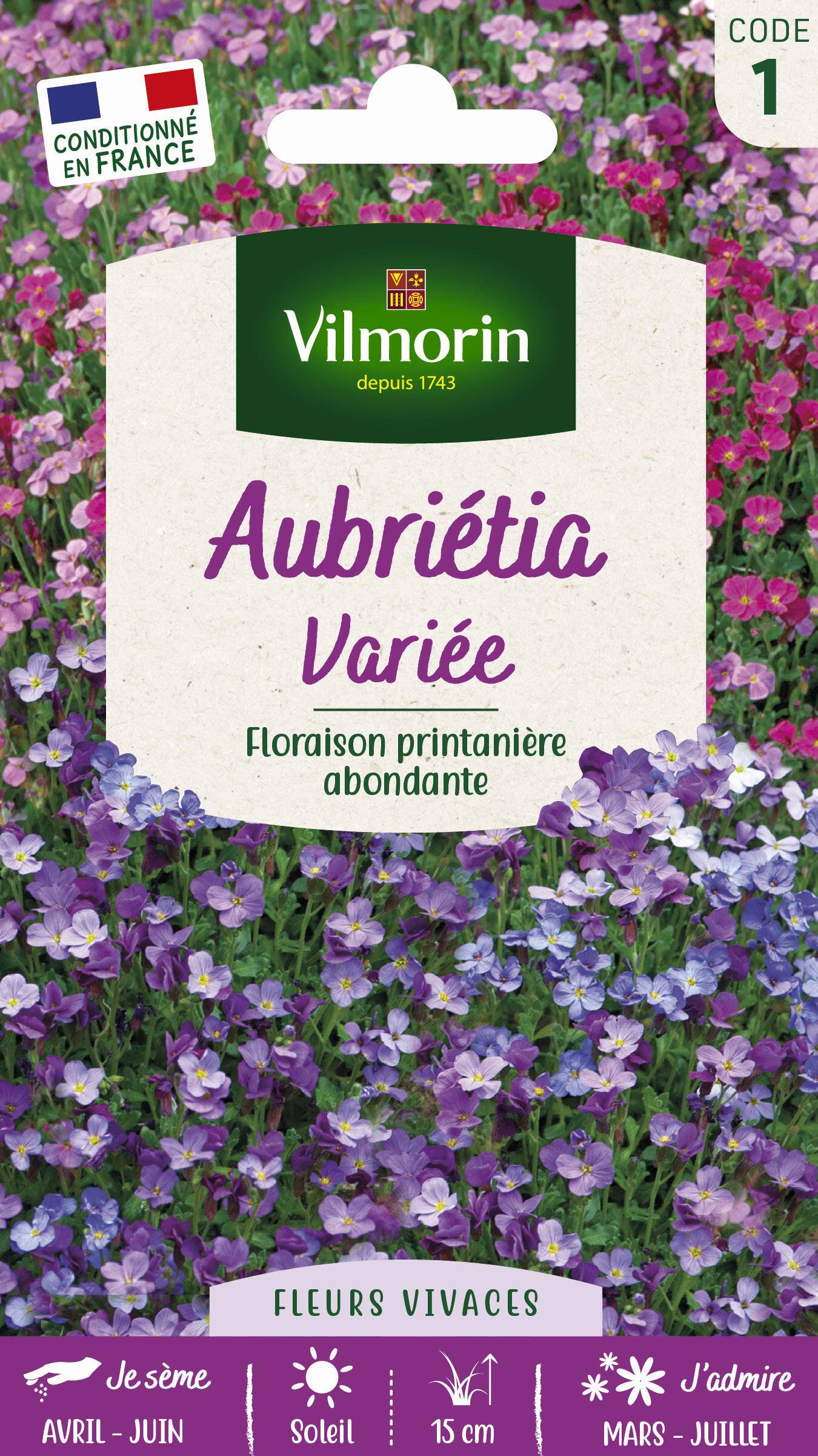 Vilmorin - Aubriétia varie série 1 sachet graines 0,3 g - Vilmorin - Image 3