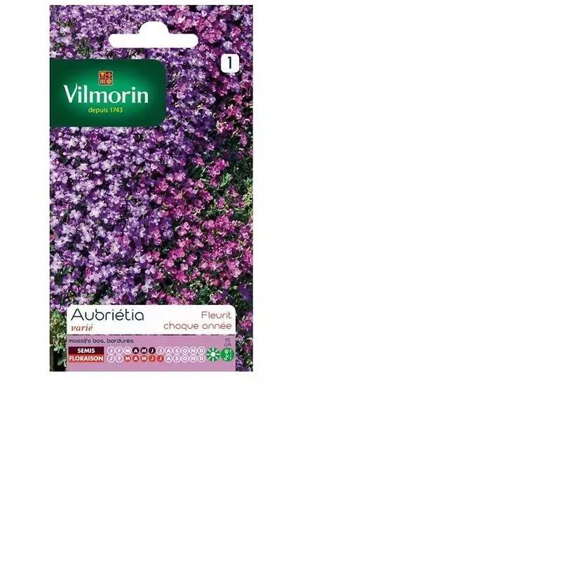 Vilmorin - Aubriétia varie série 1 sachet graines 0,3 g - Vilmorin - Image 5