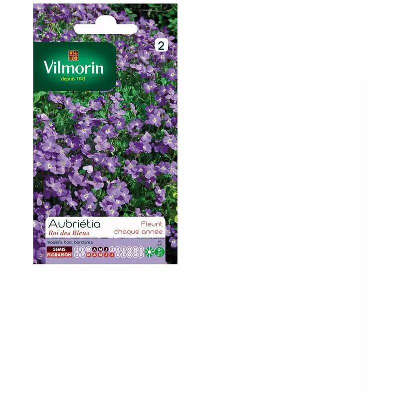 Vilmorin - Aubriétia Roi des Bleus serie 2 sachet graines 0,3 g - Vilmorin - Image 1