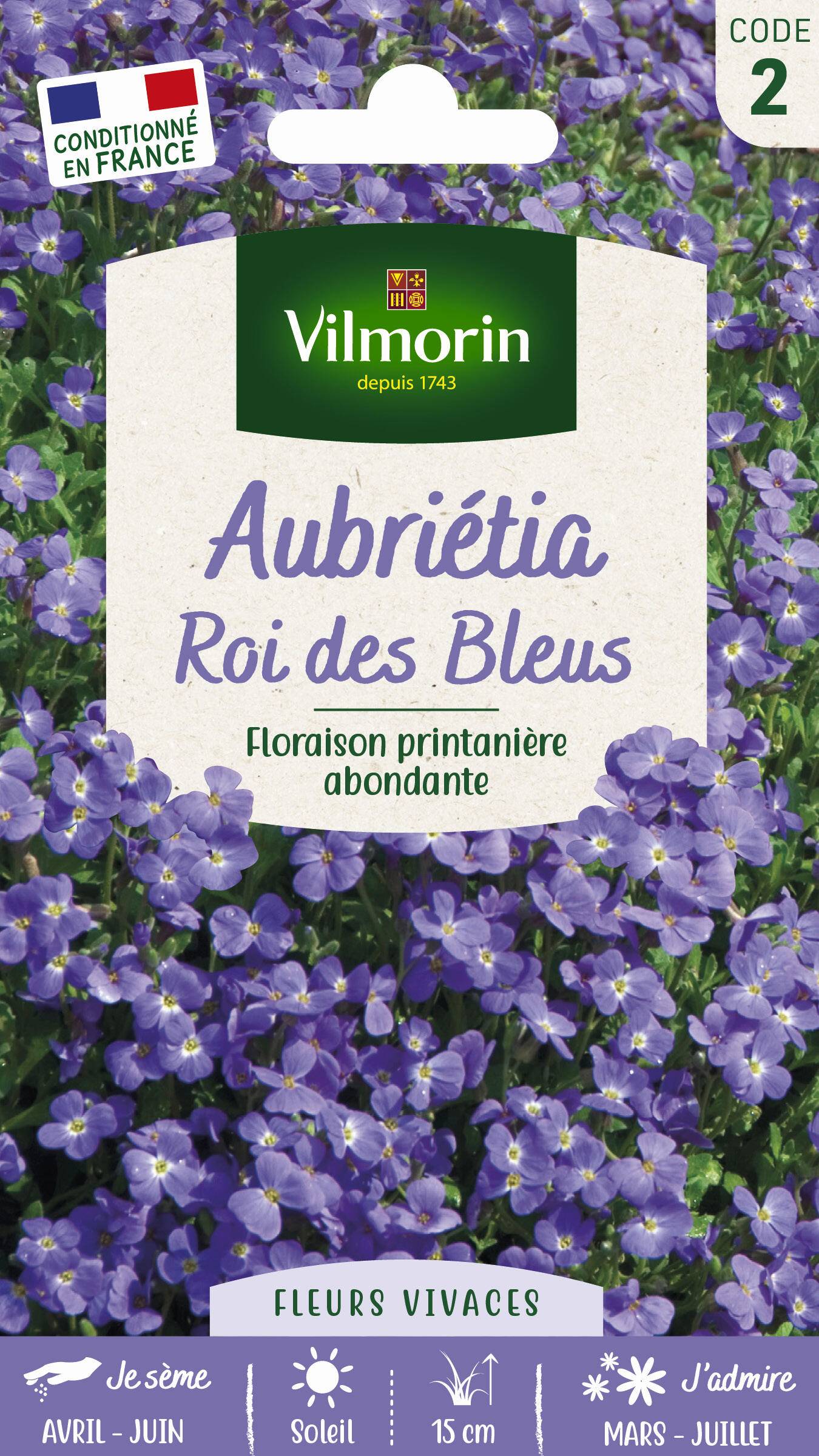 Vilmorin - Aubriétia Roi des Bleus serie 2 sachet graines 0,3 g - Vilmorin - Image 4
