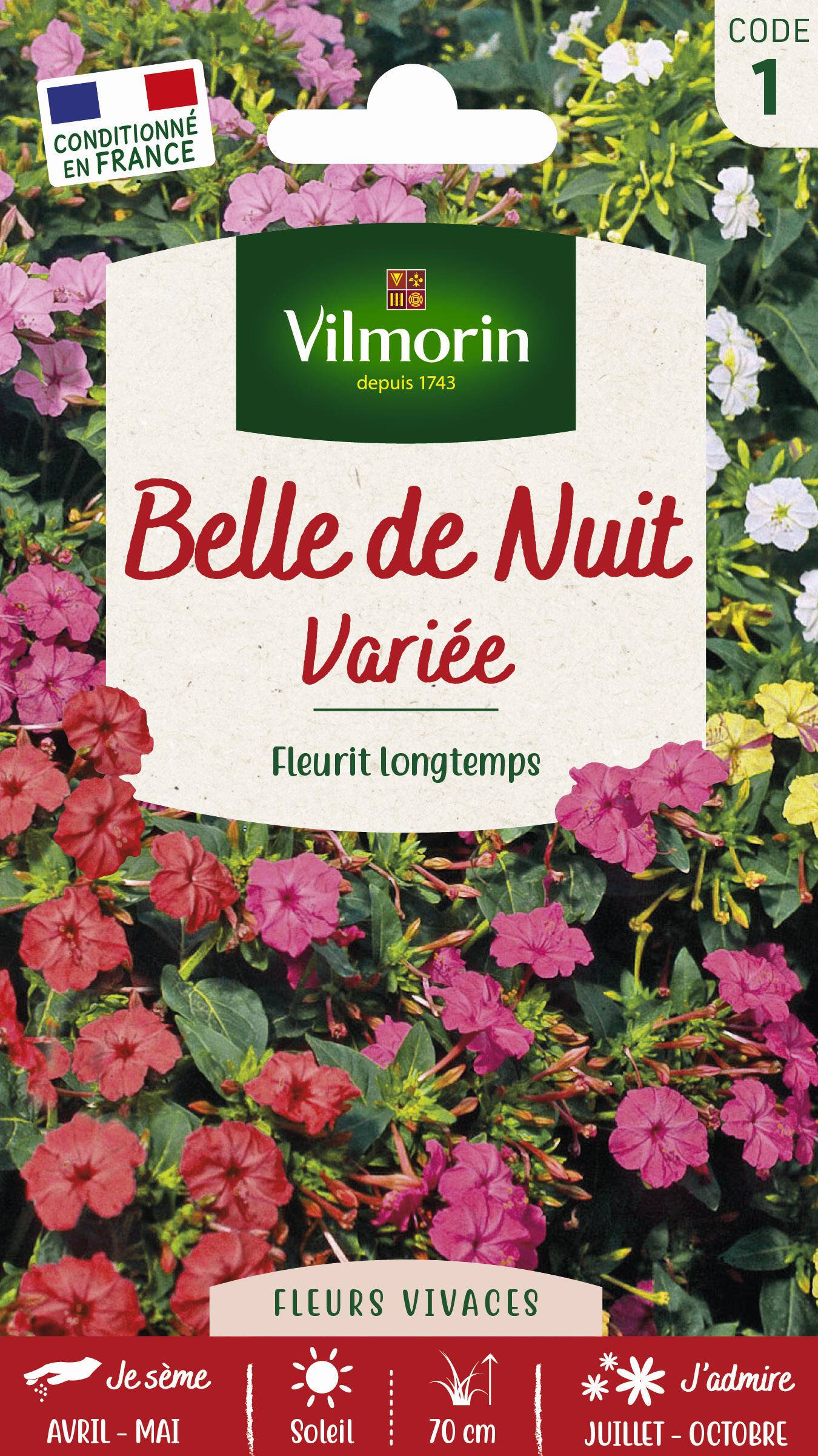 Vilmorin - Belle de Nuit Variée serie 1 sachet graines 4 g - Vilmorin - Image 7