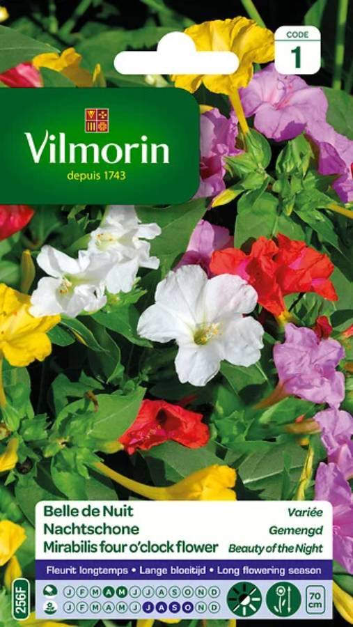 Vilmorin - Belle de Nuit Variée serie 1 sachet graines 4 g - Vilmorin - Image 4