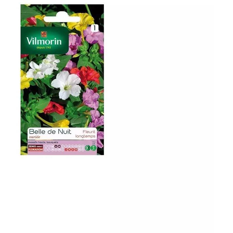 Vilmorin - Belle de Nuit Variée serie 1 sachet graines 4 g - Vilmorin - Image 5