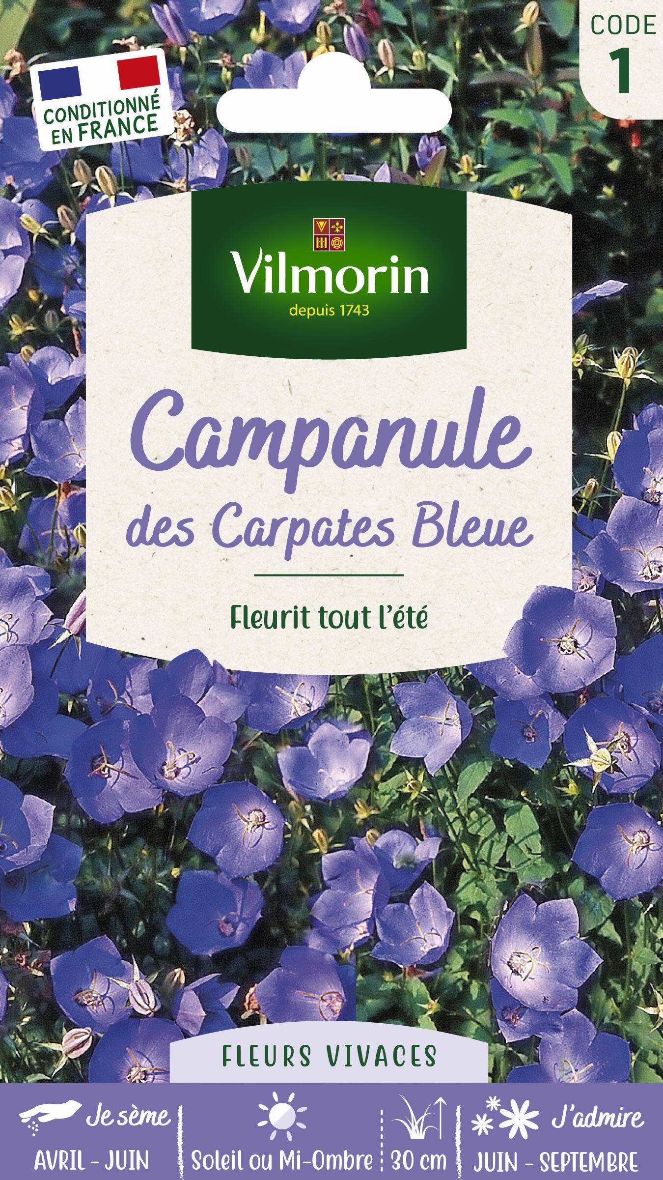 Vilmorin - Campanule des Carpathes Bleue serie 1 sachet graines 0,5 g - Vilmorin - Image 3