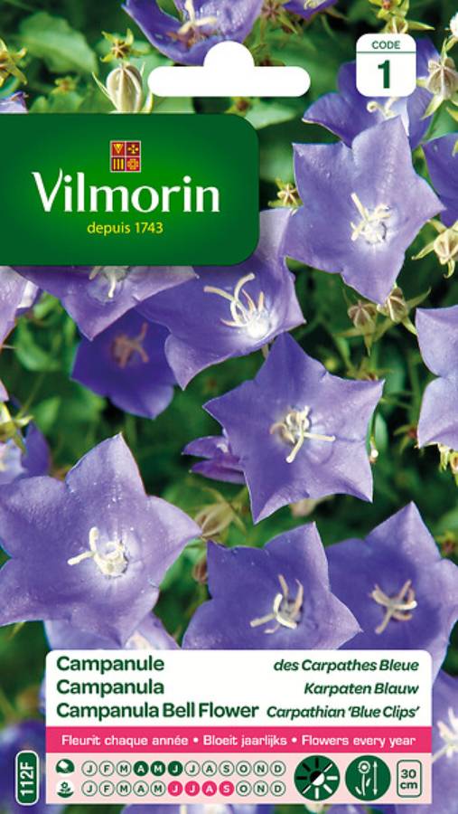 Vilmorin - Campanule des Carpathes Bleue serie 1 sachet graines 0,5 g - Vilmorin - Image 4