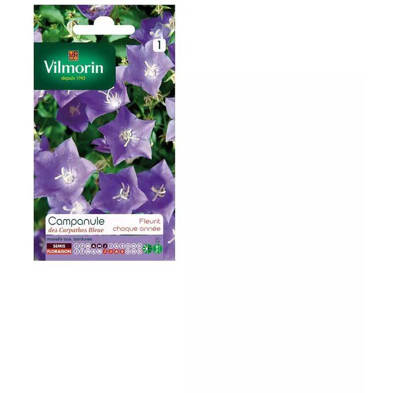Vilmorin - Campanule des Carpathes Bleue serie 1 sachet graines 0,5 g - Vilmorin - Image 5