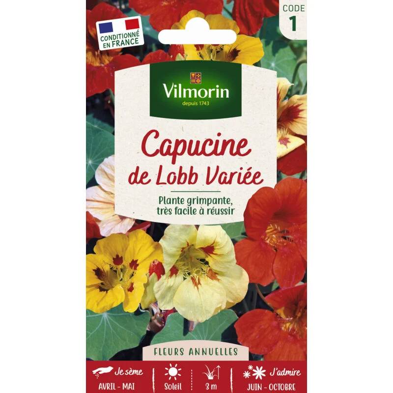 Vilmorin - Capucine de Lobb Variée serie 1 sachet graines 5 g - Vilmorin - Image 1