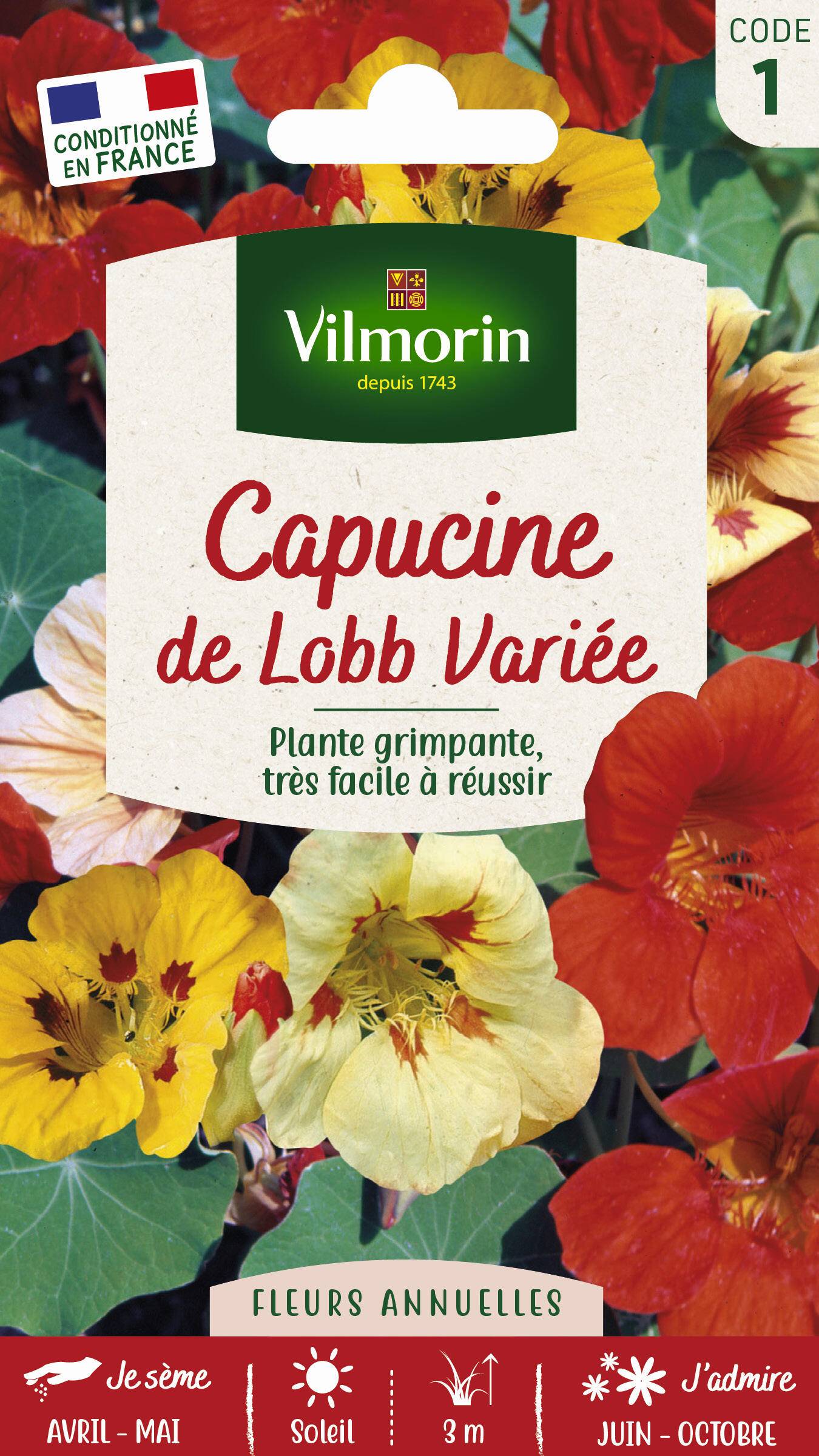 Vilmorin - Capucine de Lobb Variée serie 1 sachet graines 5 g - Vilmorin - Image 3