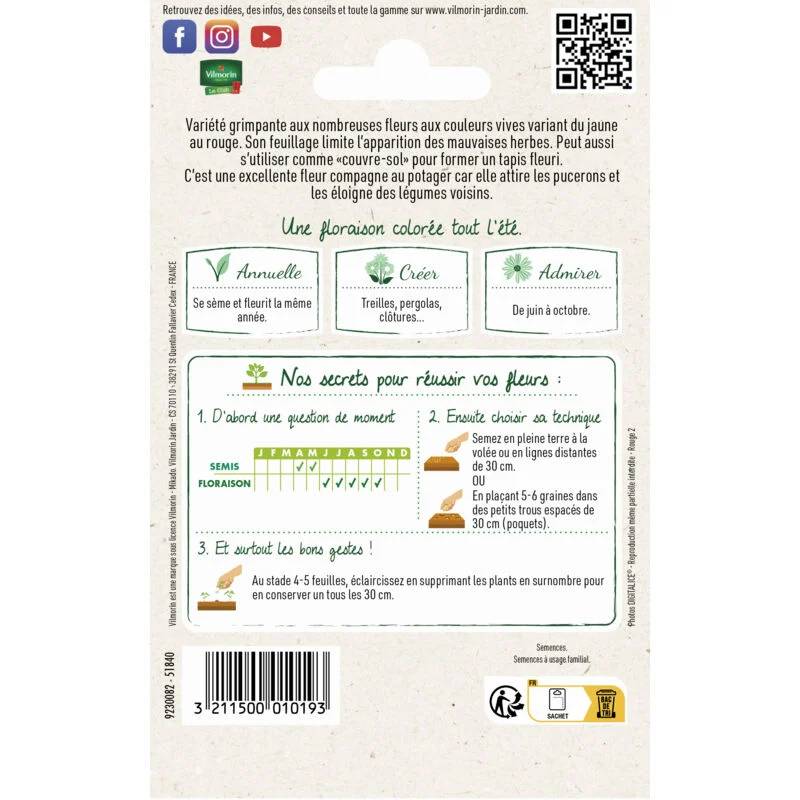 Vilmorin - Capucine de Lobb Variée serie 1 sachet graines 5 g - Vilmorin - Image 2